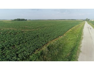 Union County, Indiana Farmland - REAL ESTATE AUCTION - 805+/- ACRES IN 11 TRACTS IN UNION COUNTY, INDIANA
